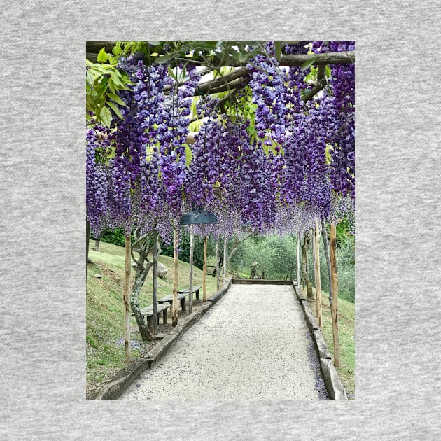 Purple Wisteria by ephotocard